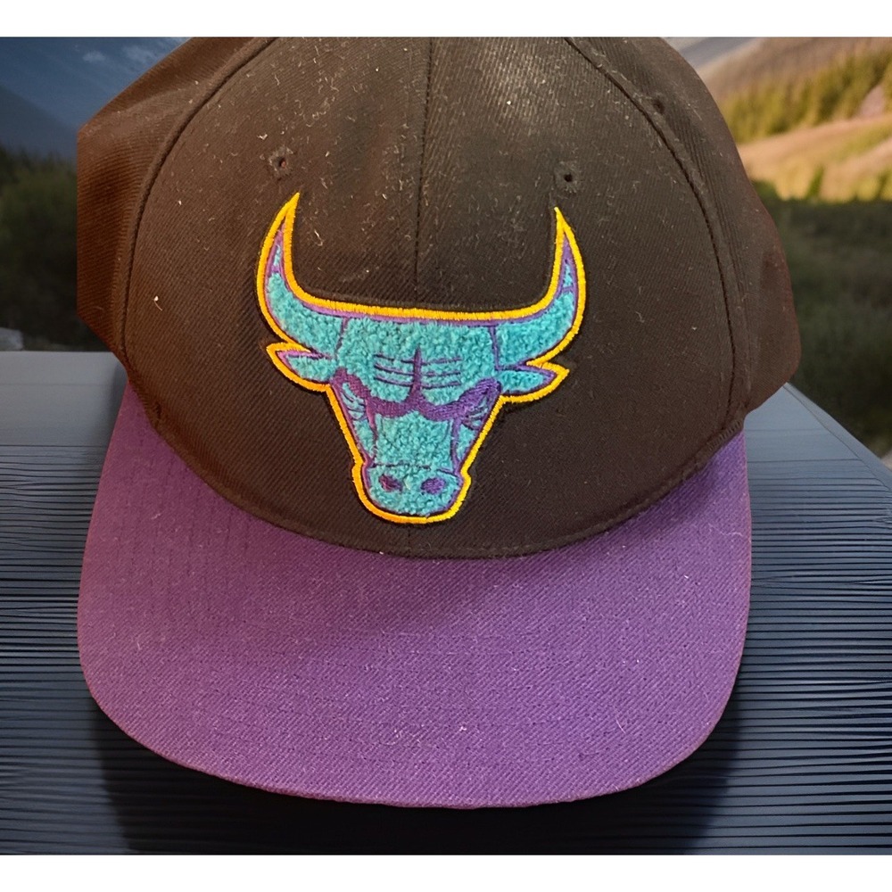 Mitchell & Ness NBA Chicago Bulls Snapback Hat Black Teal Purple Cap Philly READ